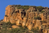 flinders-ranges;flinders-ranges-national-park;wilpena-pound;wilpenna;south-australian-national-park;