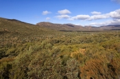 wangarra-lookout;wilpena;wilpena-pound;flinders-ranges;flinders-ranges-national-park;south-australia