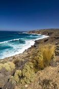 memory-cove-wilderness-area;southern-ocean-lookout;lincoln-national-park;south-australian-national-p