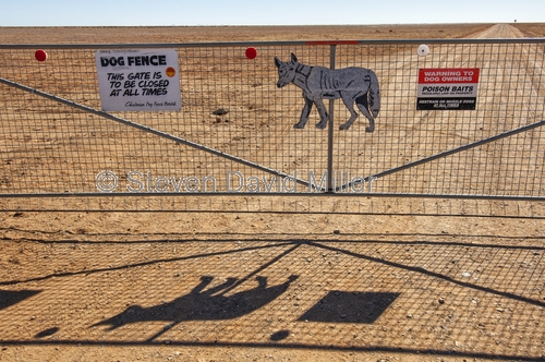 dog fence;the dog fence;dog fence board;dog fence gate;muloorina;muloorina station;oodnadatta track;outback station;australia's dog fence;gate;close the gate;outback gate;station gate