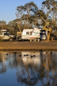 muloorina-station;muloorina-wetland;muloorina;frome-creek;outback-wetland;oodnadatta-track;outback-t