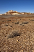 painted-desert;pedrika-desert;arckaringa;oodnadatta-track;outback-south-australia;painted-desert-aus