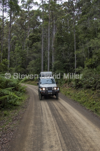 bruny island;tassie;tasmania;unsealed road;4wd road;bruny island road