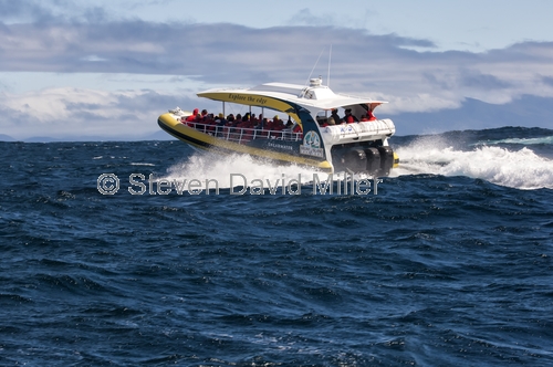 south bruny island;south bruny national park;bruny island;bruny island cruises;bruny island charters;bruny island boat trip