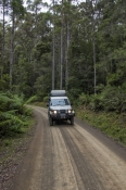 bruny-island;tassie;tasmania;unsealed-road;4wd-road;bruny-island-road