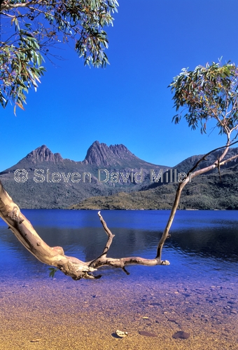 dove lake;lake dove;cradle mountain lake st clair national park;cradle mountain;tasmania;tassie;tasmania national park;australian national park;alpine lake tasmania
