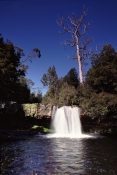 AUSTRALASIA;AUSTRALIA;NP;RIVERS;WATERFALLS;knyvet-falls;pencial-pine-river;cradle-mountain-lake-st-c