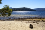 lake-st-clair;lake-saint-clair;cradle-mountain-lake-st-clair-national-park;tasmania;tassie;tasmania-