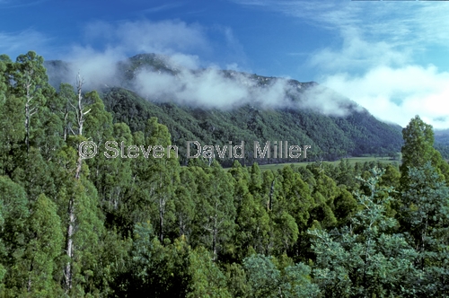 lyell hwy;lyell highway;lyell hwy scenic drive;franklin-gordon wild rivers national park;tasmania world heritage area;tasmania;tassie