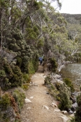 lake-dobson;lake-dobson-road;mount-field-national-park;mt-field-national-park;tasmania;tassie;tasman