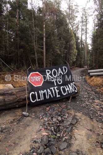 protesting;greenies protesting;conservationists protesting;florentine valley;upper florentine valley;looging old growth forest;southwest tasmania;logging florentine valley