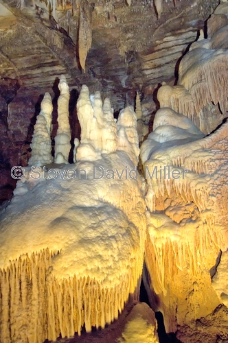royal cave;buchan caves;buchan caves reserve;stalagmites;stalactites;shawls;flowstone;cave formation;cave decorations;cave;caves in victoria;caves in australia