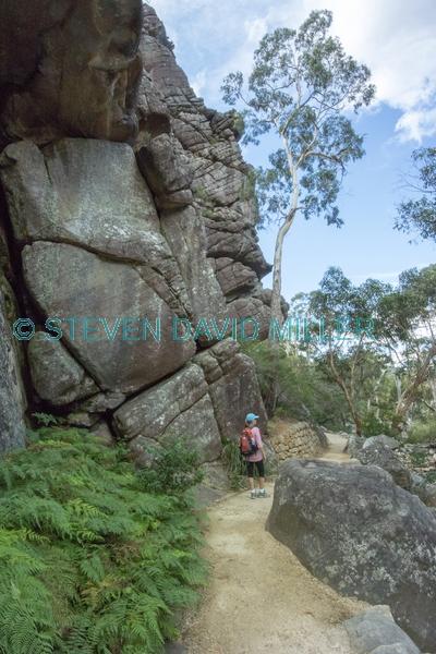 australian national park;hiking;bushwalking