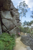 australian-national-park;hiking;bushwalking