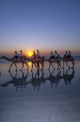 cable-beach;broome;cable-beach-camel-ride;broome-camel-ride;broome-attractions;western-australia;cam
