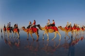 AUSTRALASIA;AUSTRALIA;BEACHES;CAMELS;GROUPS;OUTSTANDING;PEOPLE;REFLECTIONS;TOURISM