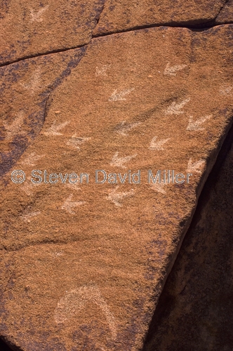 deep gorge petroglyphs;aboriginal rock art;australian aboriginal rock art;aboriginal petroglyphs;aboriginal rock engravings;burrup peninsula;burrup peninsula rock art;dampier archipelago;western australia