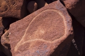deep-gorge-petroglyphs;aboriginal-rock-art;australian-aboriginal-rock-art;aboriginal-petroglyphs;abo