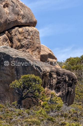 granite;gneiss;cape le grand national park;western australian national park;australian national park