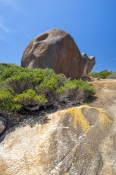 granite;gneiss;cape-le-grand-national-park;western-australian-national-park;australian-national-park