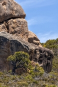granite;gneiss;cape-le-grand-national-park;western-australian-national-park;australian-national-park