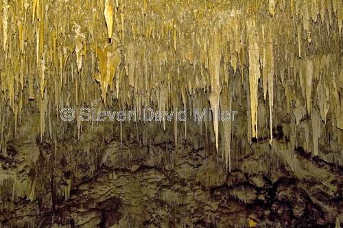 leeuwin-naturaliste national park;ngilgi cave;limestone cave;calcium carbonate cave decorations;stalactites;stalagmites;columns;cave decorations;southwest western australia;cape leeuwin;cape naturaliste