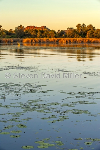 lake kununurra;kununurra;sunset on lake kunururra;sunset on lake;ord river irrigation scheme;kununurra diversion dam;kimberley;western australia