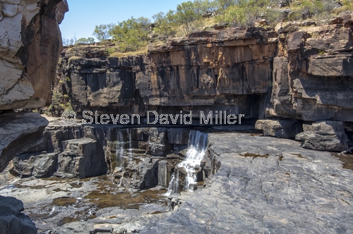 mitchell river;mitchell falls;mitchell river national park;merten falls;punamii-unpuu national park;kimberley;the kimberley