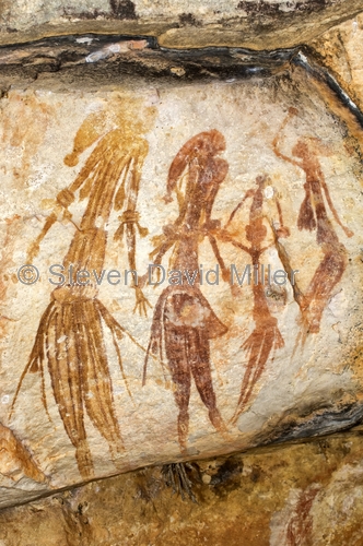 bradshaw rock art;gwion gwion rock art;kimberley region rock art;mitchell plateau;mitchell river national park;aboriginal rock art;australian rock art;rock art