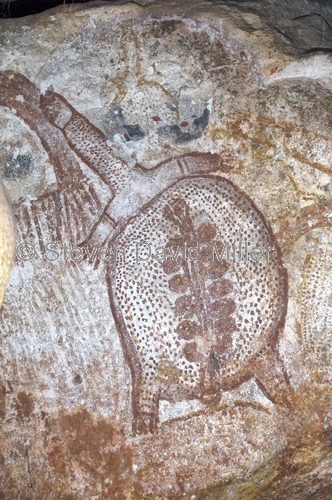 bradshaw rock art;gwion gwion rock art;wandjina rock art;kimberley region rock art;mitchell plateau;mitchell river national park;aboriginal rock art;australian rock art;rock art