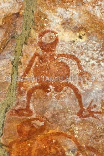 bradshaw rock art;gwion gwion rock art;wandjina rock art;kimberley region rock art;mitchell plateau;mitchell river national park;aboriginal rock art;australian rock art;rock art