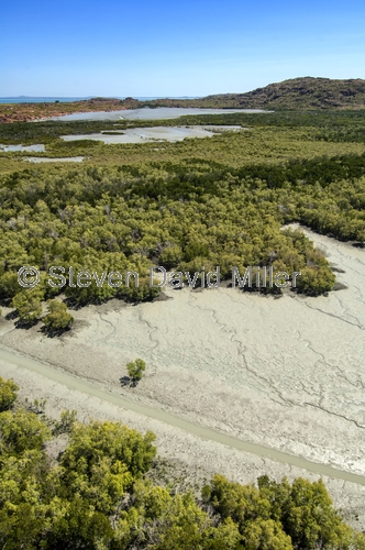 kimberley coastline;admiralty gulf;mitchell river estuary area;mitchell falls national park;punamii-unpuu national park;mangrove estuary;river estuary;kimberley estuary;kimberley;the kimberley