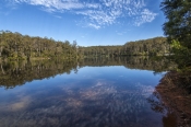 big-brook-arboretum;pemberton-forest-drive;pemberton;western-australia-forest-drive;4wd-pemberton-fo