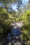 beedelup-falls;greater-beedelup-national-park;pemberton;pemberton-forest-drive;western-australia-for
