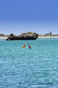 penguin-island;rockingham;kayaking