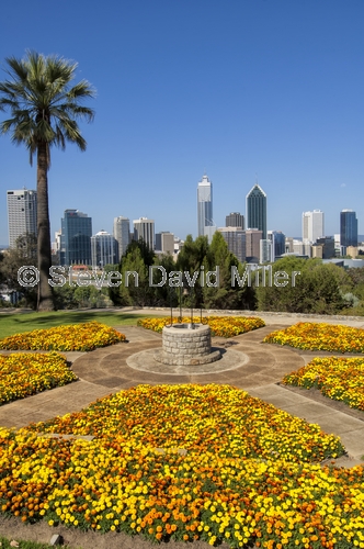 kings park;perth;captial of western australia;perth skyline
