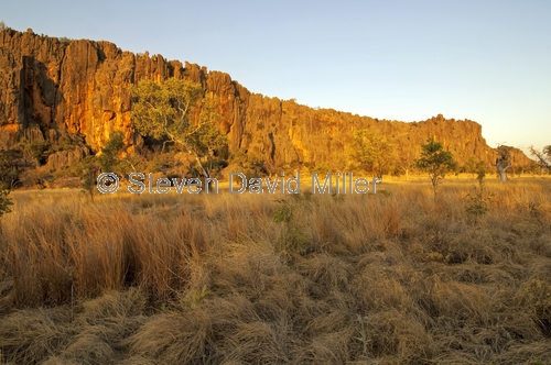 windjana gorge national park;devonian coral reef;limestone cliffs;the kimberley;western australia national park;kimberley;kimberley scenery