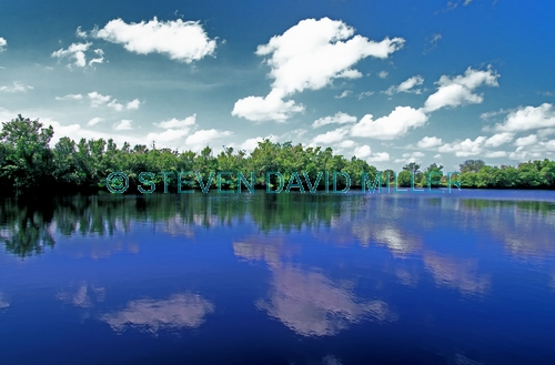 collier seminole state park;florida state park;state park southwest florida;riverine mangroves;blackwater river;collier seminole state park river