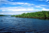 whitewater-bay;wilderness-waterway-canoe-trail;mangroves;mangrove-island;everglades;everglades-canoe