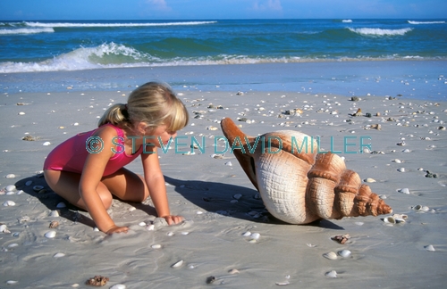 little girl at the beach;girl on the beach;girl on beach;girl at the beach