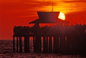 naples-pier;naples;naples-beach;naples-sunset;naples-pier-sunset;sunset;gulf-of-mexico-sunset;sunset