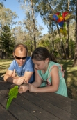australian-family;girl-feeding-birds